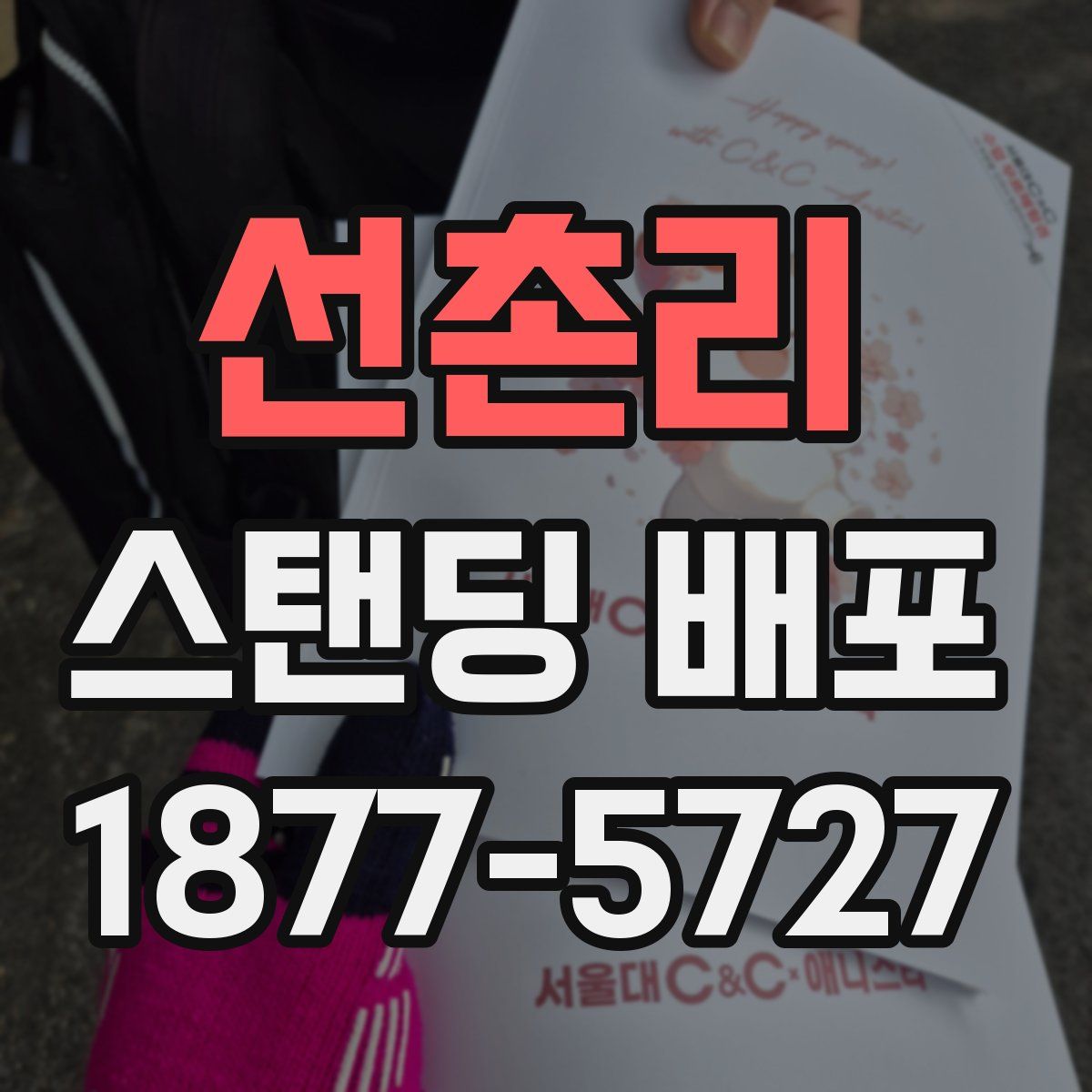 선촌리 스탠딩 배포