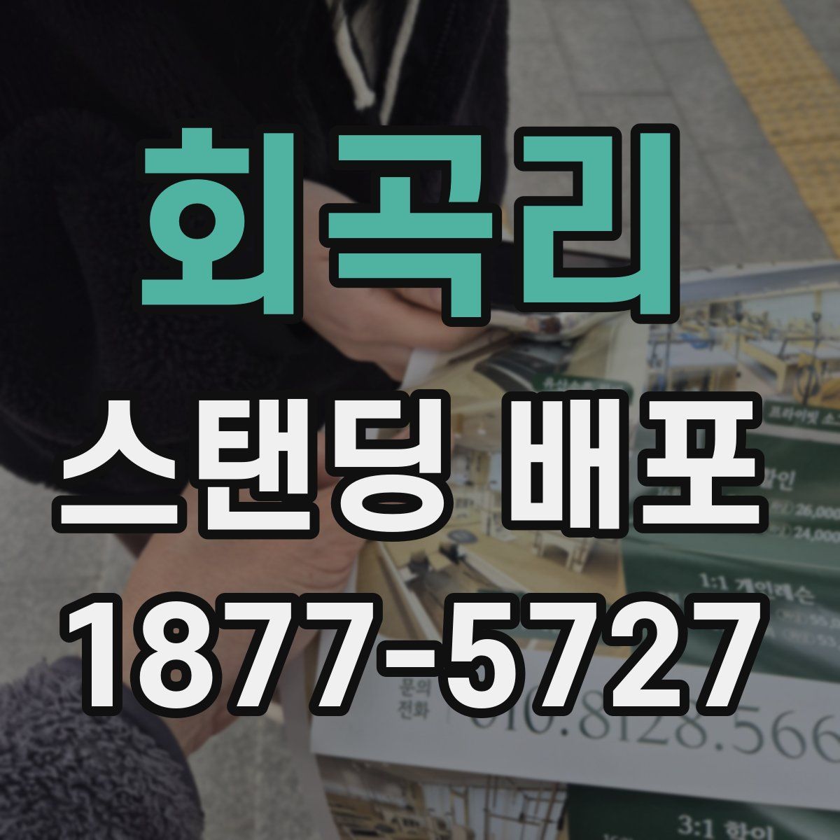 회곡리 스탠딩 배포