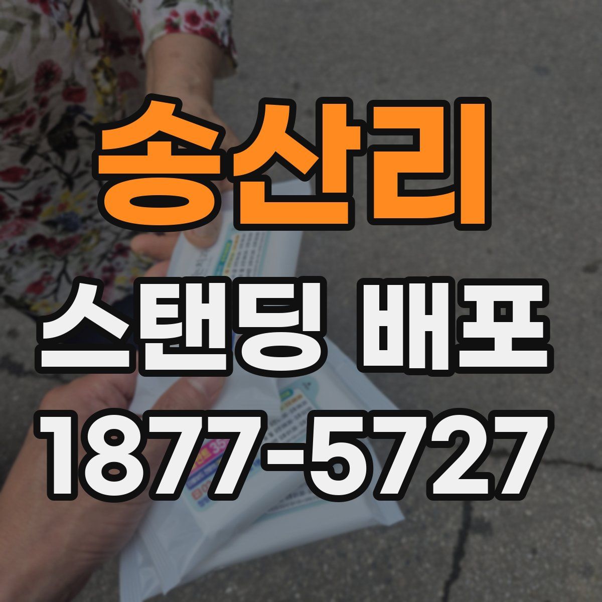 송산리 스탠딩 배포