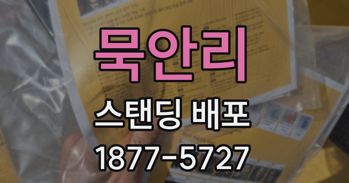 묵안리 스탠딩 배포