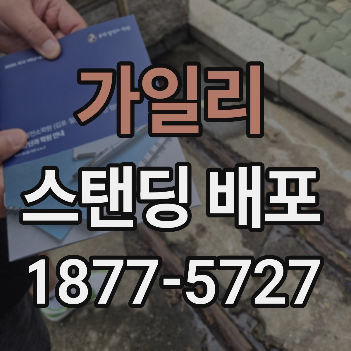 가일리 스탠딩 배포