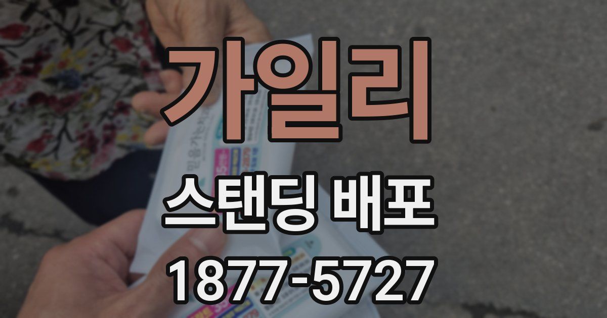 가일리 스탠딩 배포