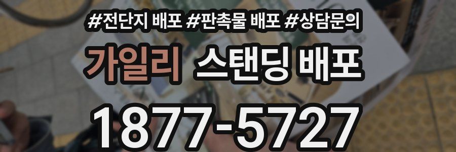 가일리 스탠딩 배포