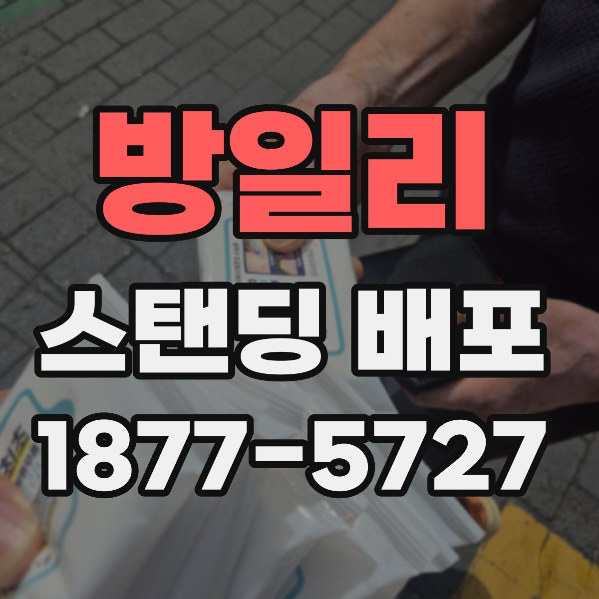 방일리 스탠딩 배포