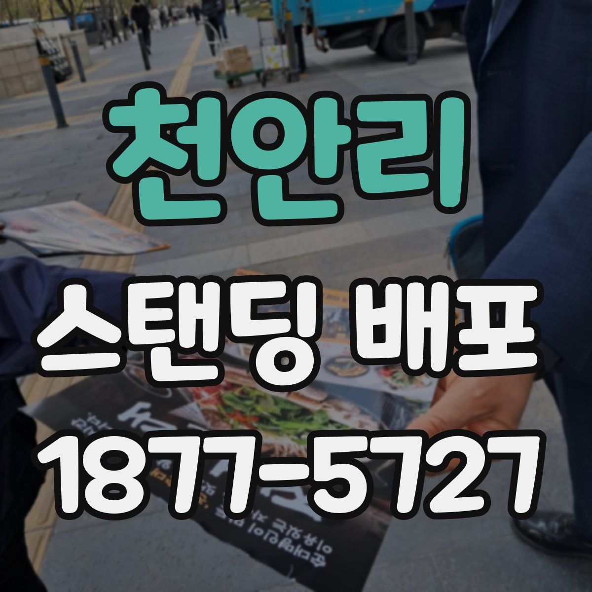천안리 스탠딩 배포