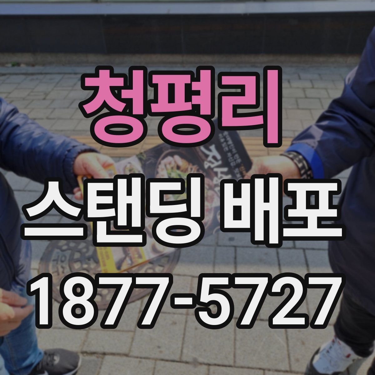 청평리 스탠딩 배포