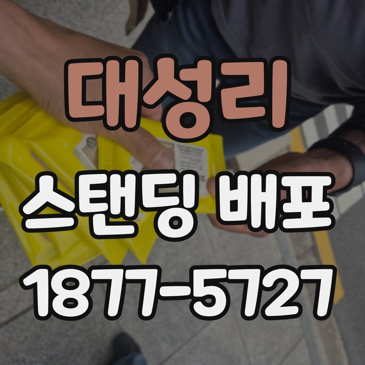 대성리 스탠딩 배포