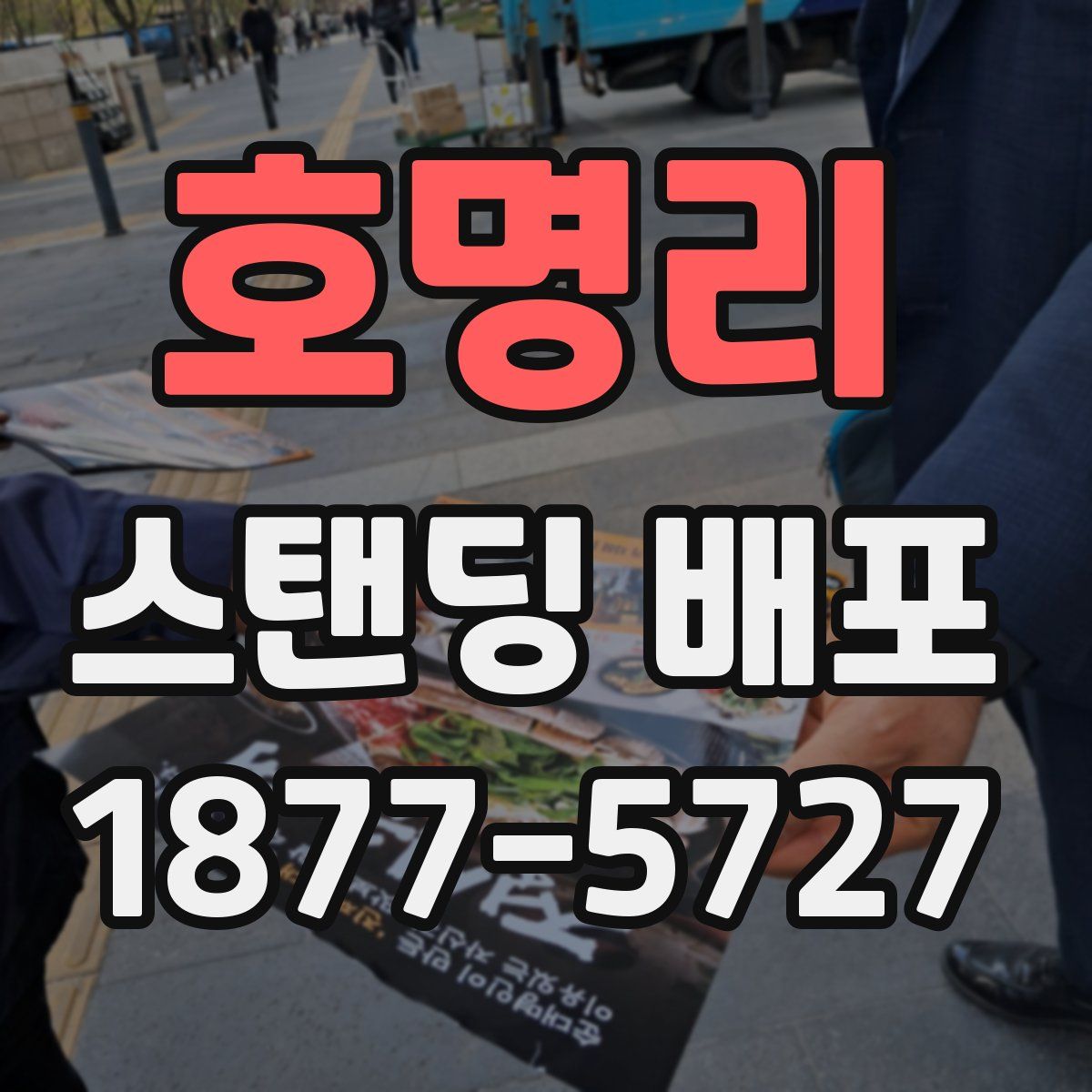호명리 스탠딩 배포