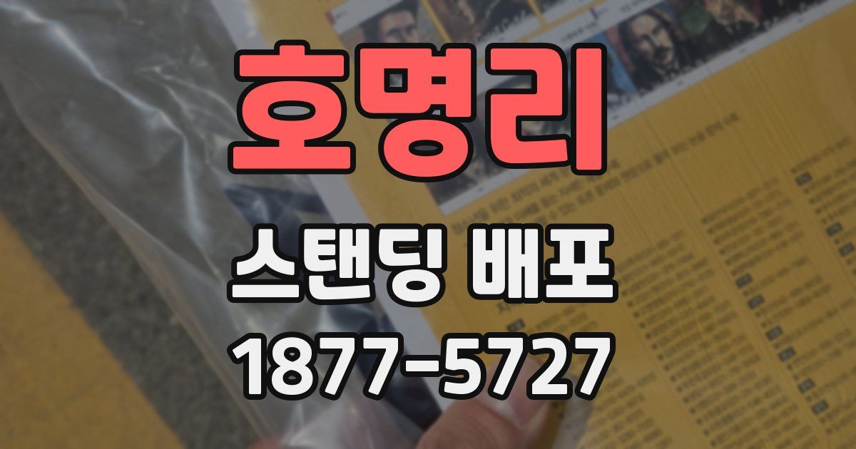 호명리 스탠딩 배포