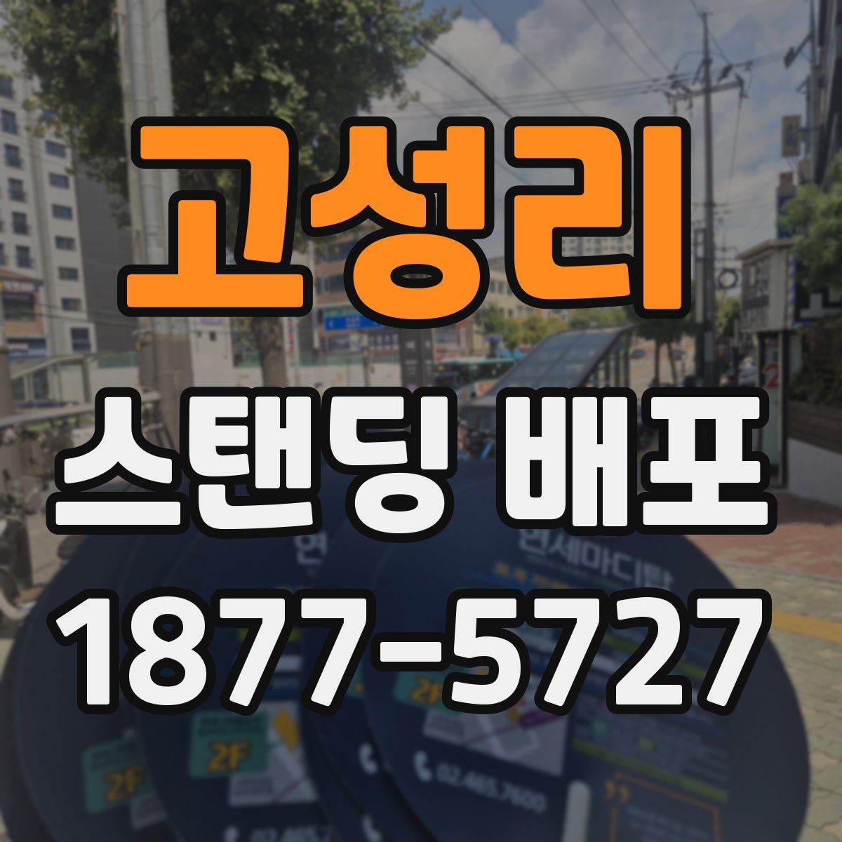 고성리 스탠딩 배포