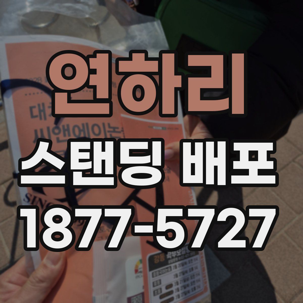 연하리 스탠딩 배포