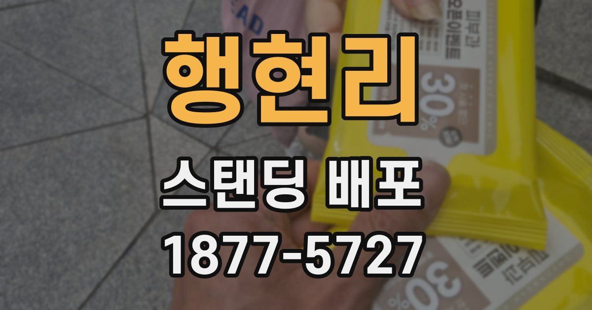 행현리 스탠딩 배포