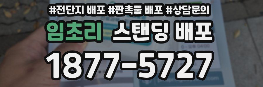 임초리 스탠딩 배포