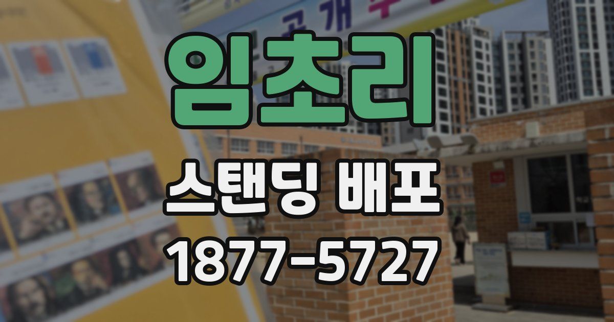 임초리 스탠딩 배포