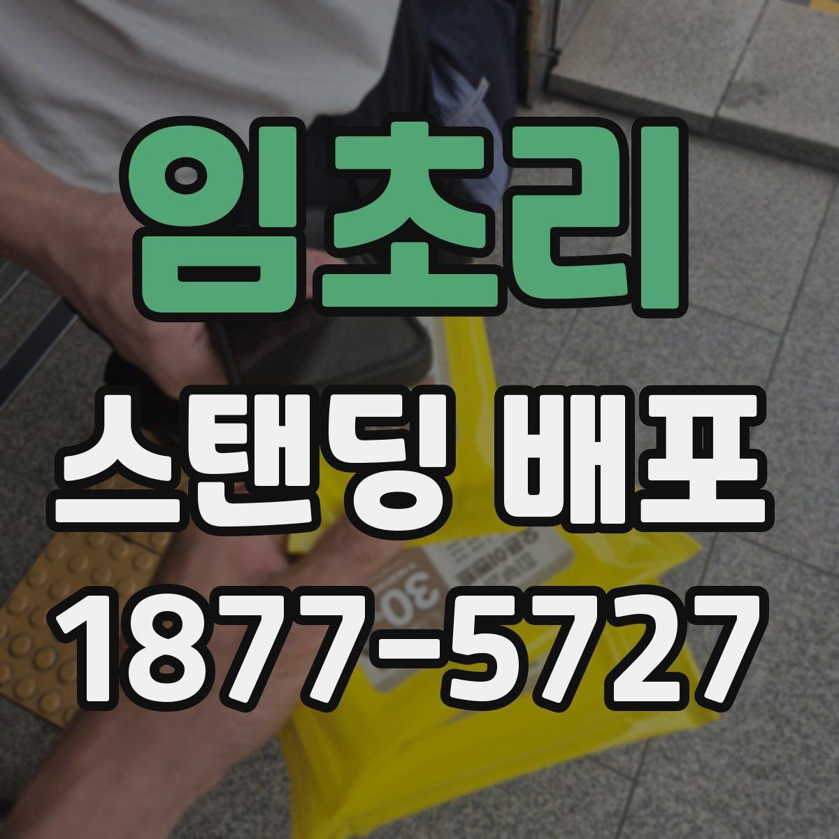 임초리 스탠딩 배포