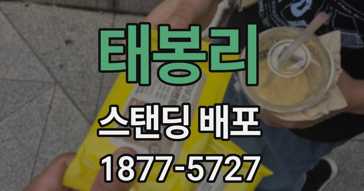 태봉리 스탠딩 배포