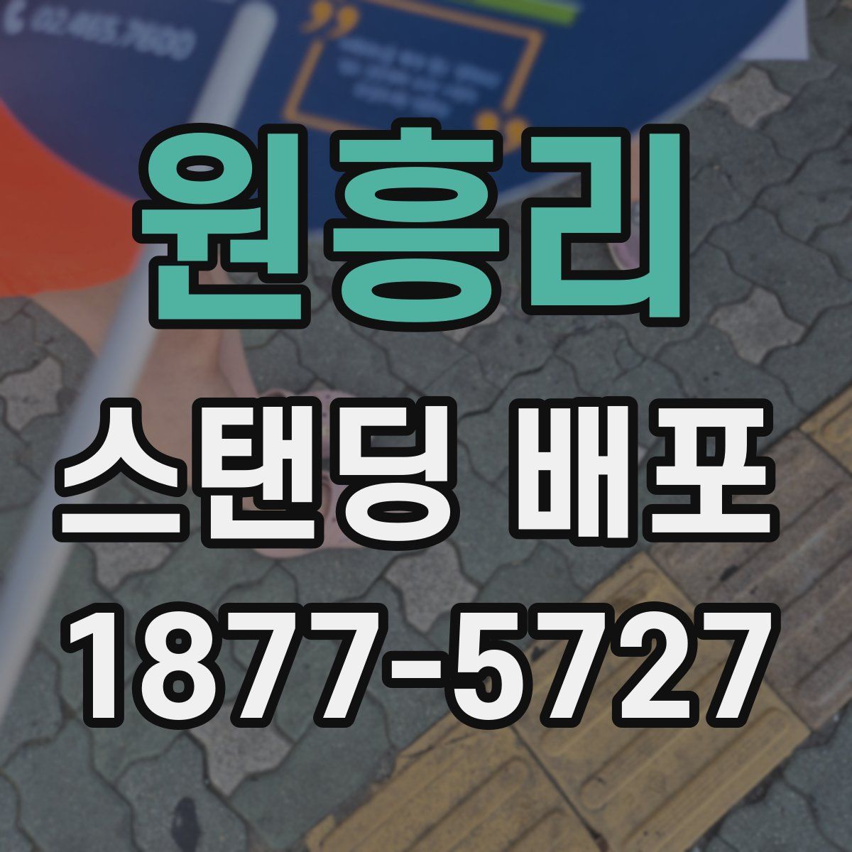 원흥리 스탠딩 배포