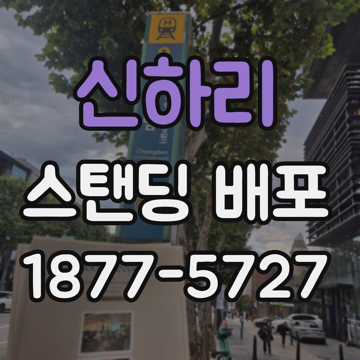 신하리 스탠딩 배포