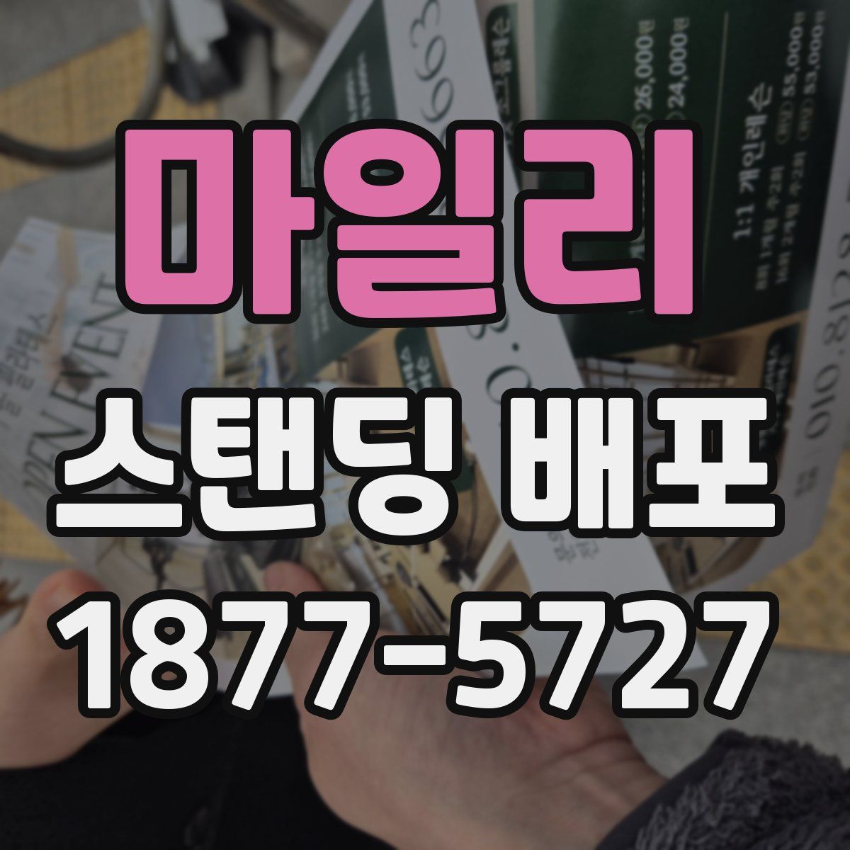 마일리 스탠딩 배포