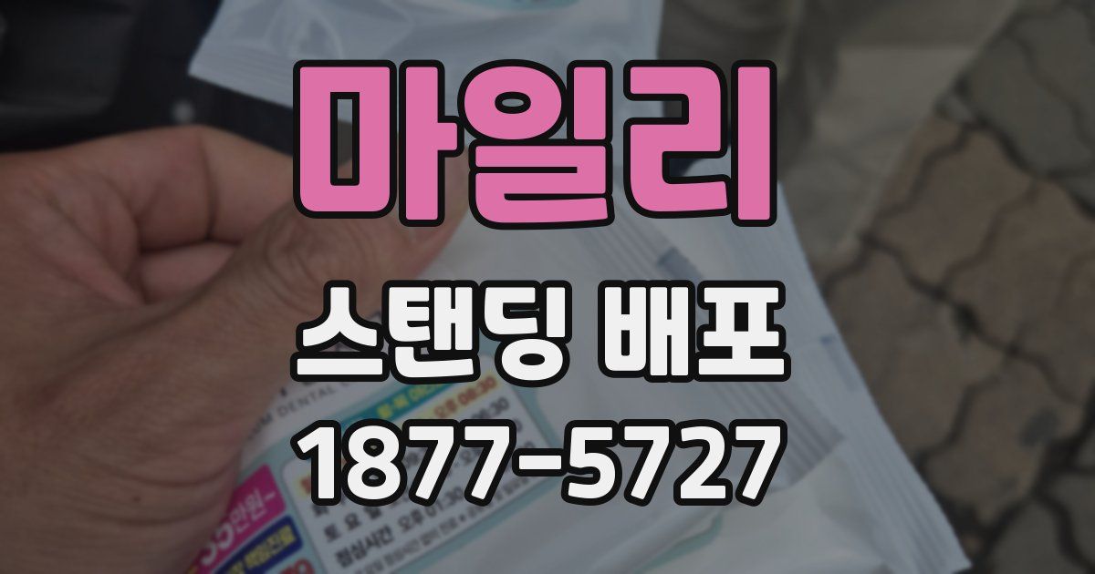 마일리 스탠딩 배포