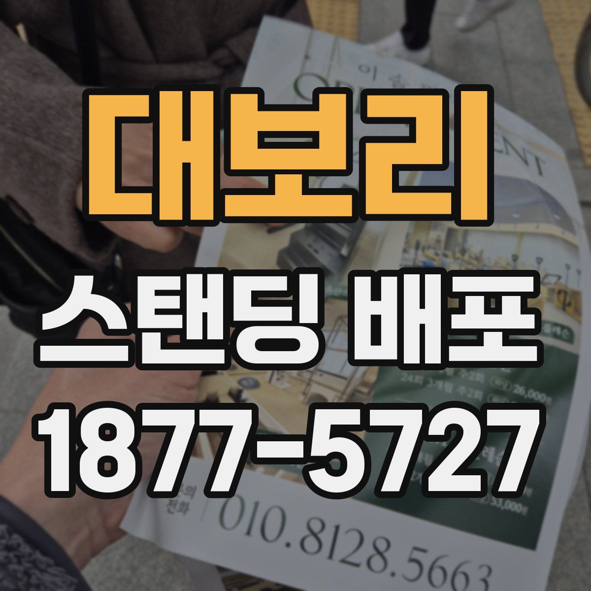 대보리 스탠딩 배포