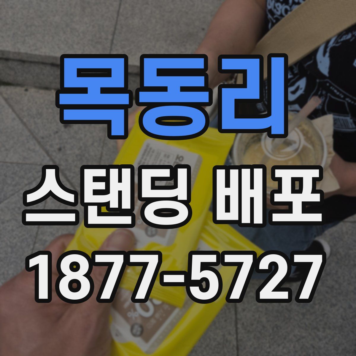 목동리 스탠딩 배포