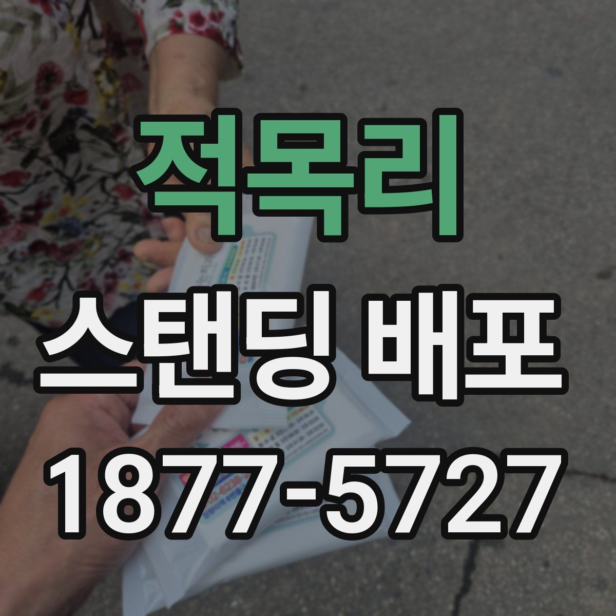 적목리 스탠딩 배포
