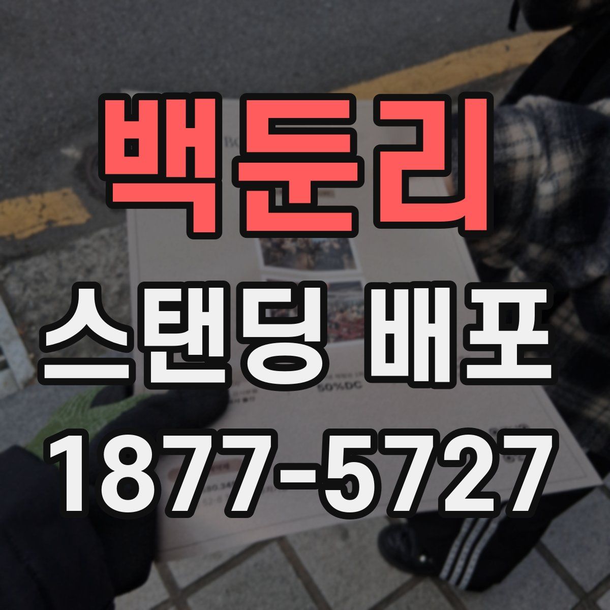 백둔리 스탠딩 배포