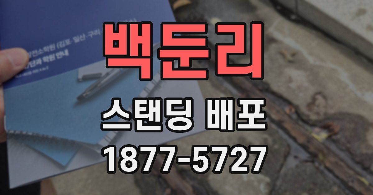 백둔리 스탠딩 배포