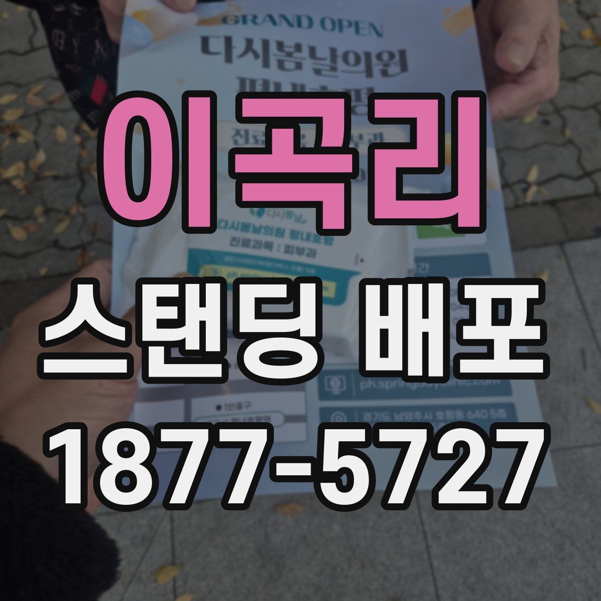 이곡리 스탠딩 배포