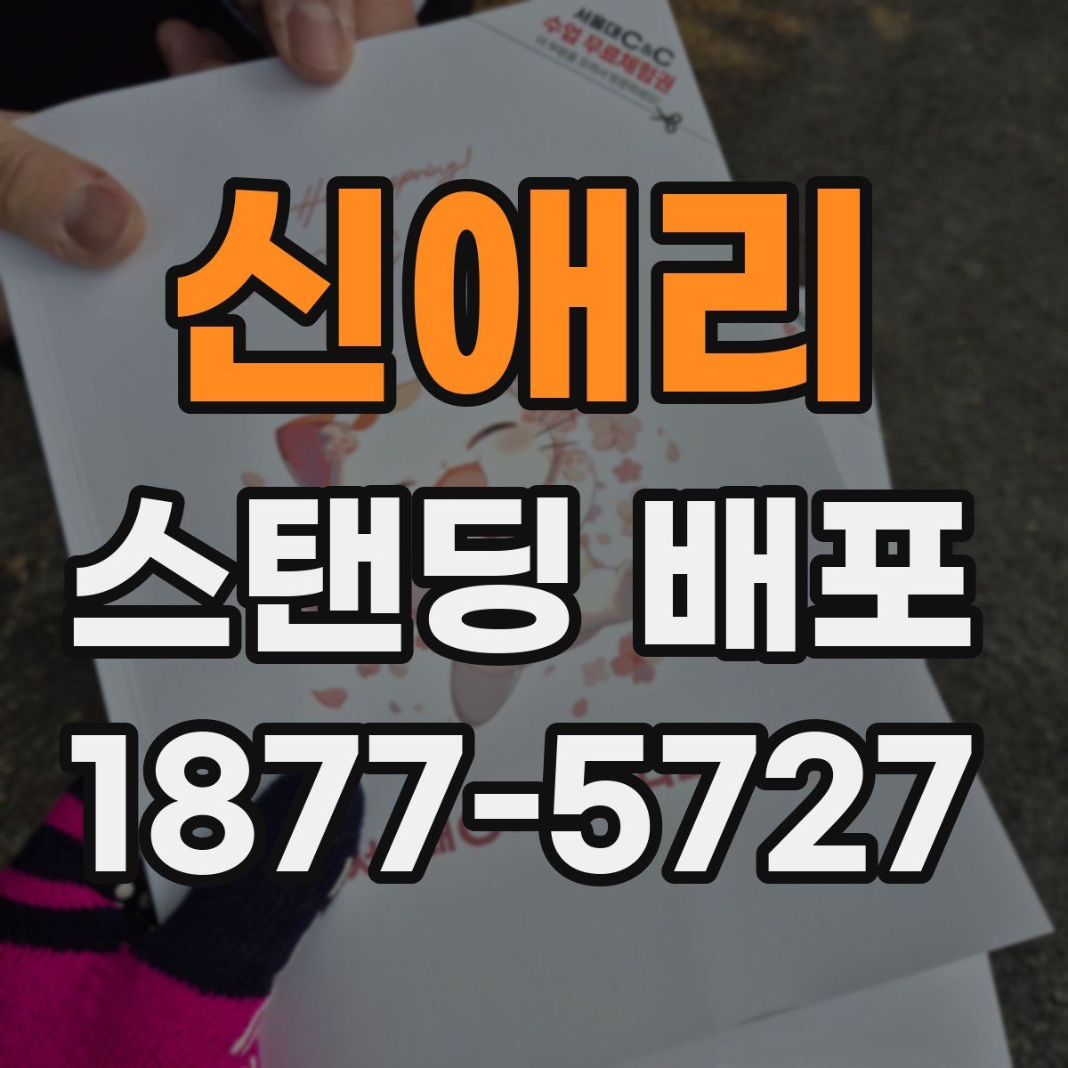 신애리 스탠딩 배포