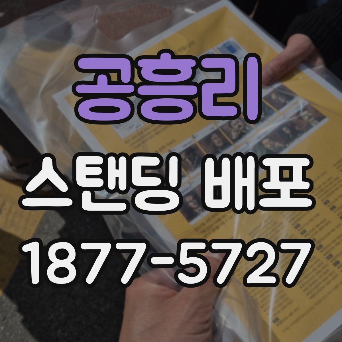 공흥리 스탠딩 배포