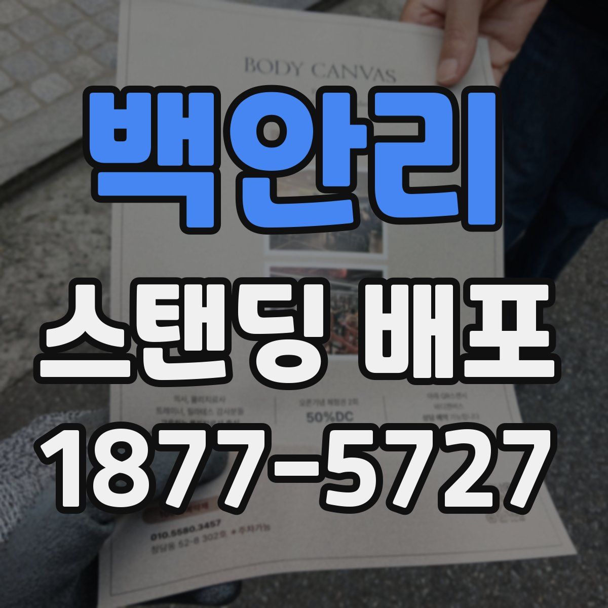 백안리 스탠딩 배포