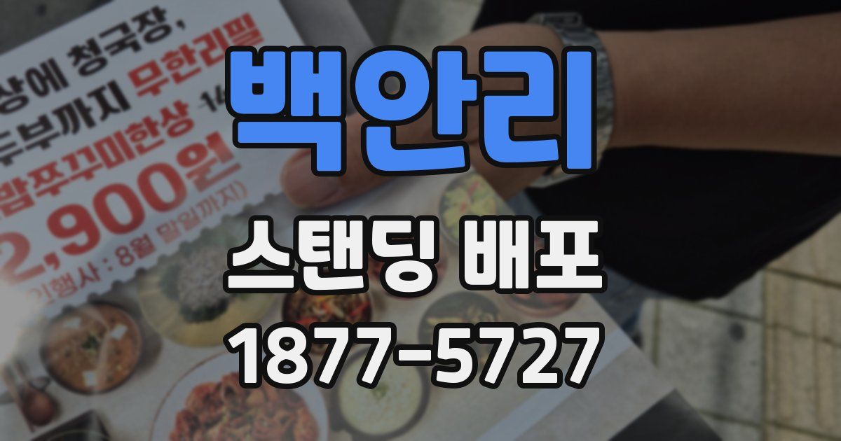 백안리 스탠딩 배포