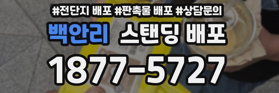 백안리 스탠딩 배포