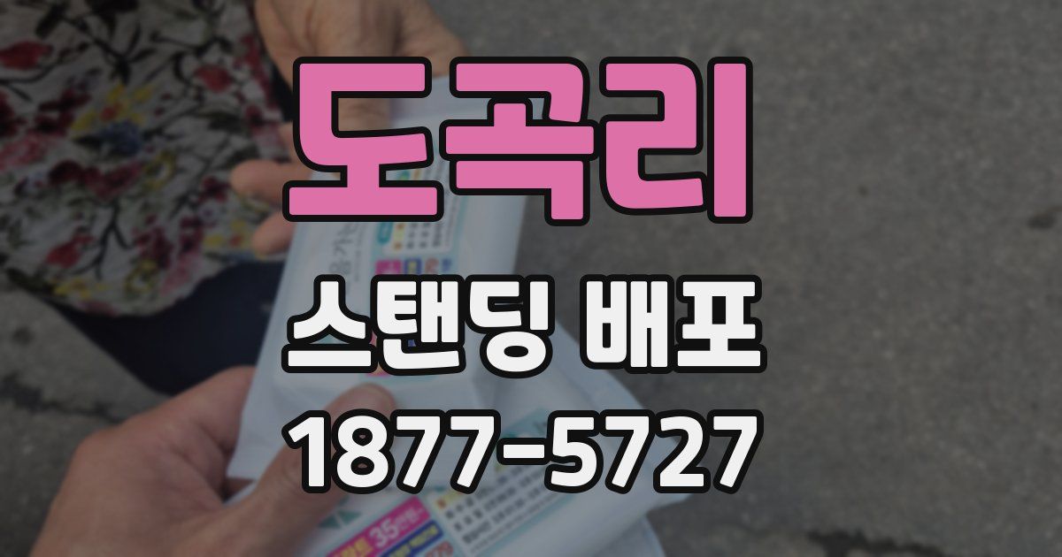 도곡리 스탠딩 배포