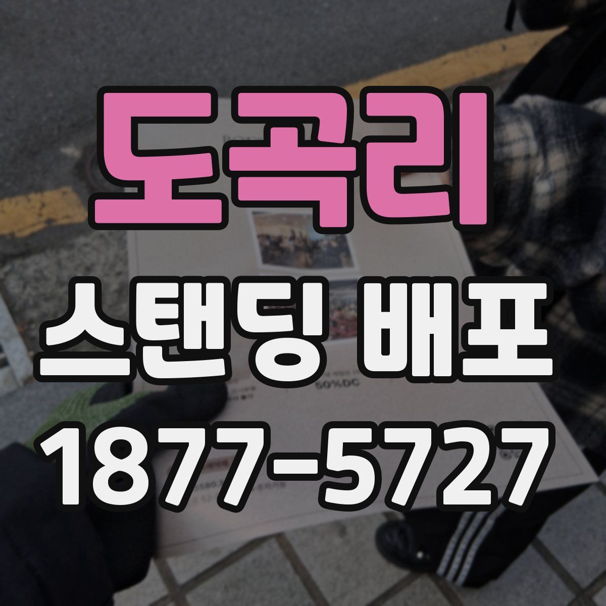 도곡리 스탠딩 배포