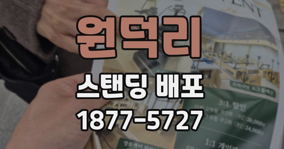 원덕리 스탠딩 배포