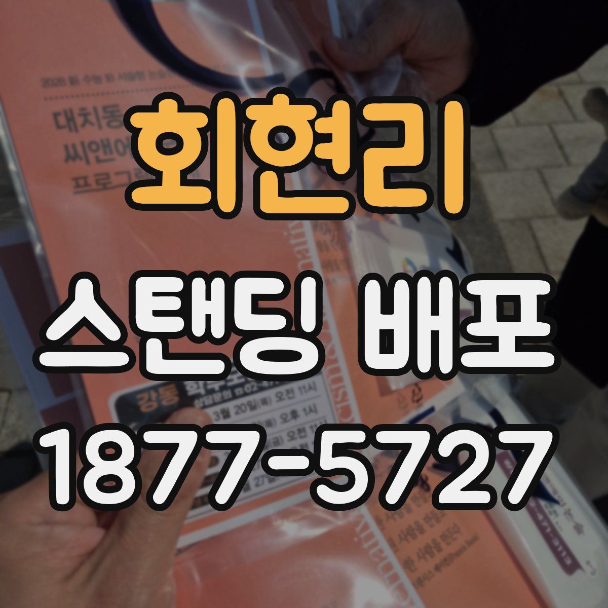 회현리 스탠딩 배포