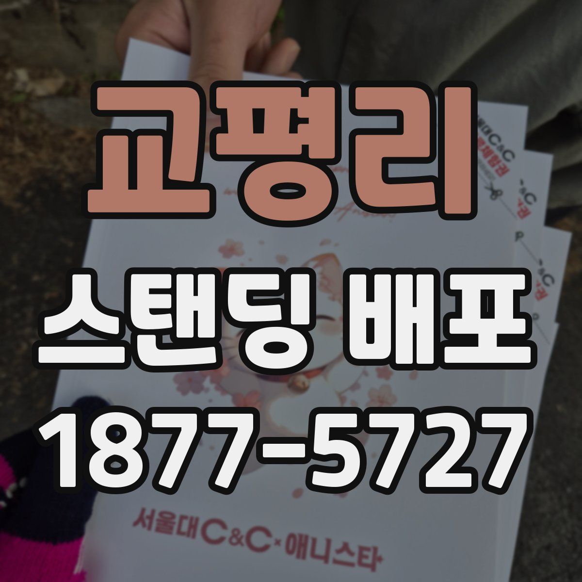 교평리 스탠딩 배포