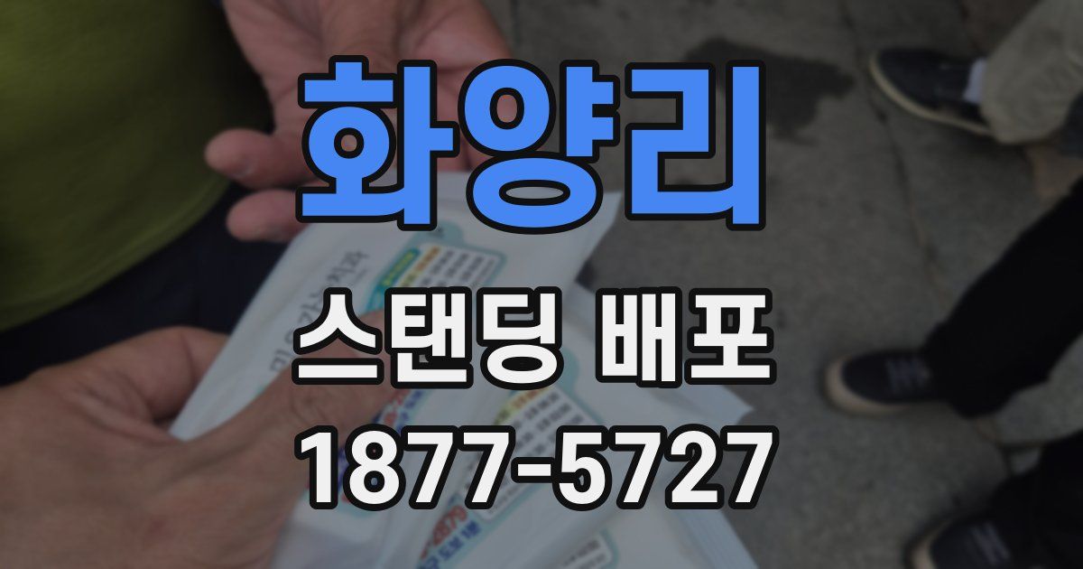 화양리 스탠딩 배포