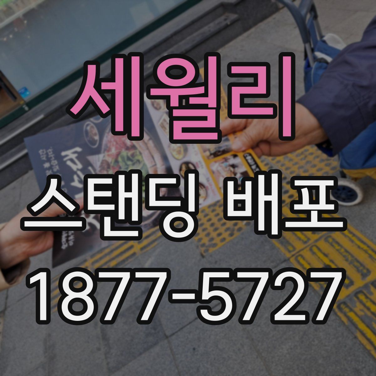 세월리 스탠딩 배포