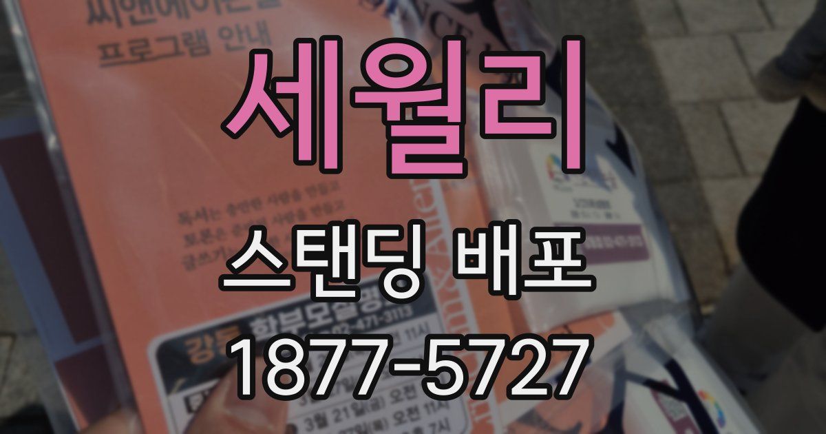 세월리 스탠딩 배포