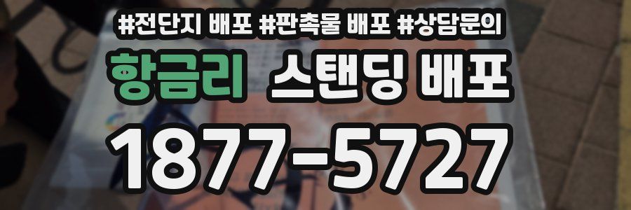 항금리 스탠딩 배포