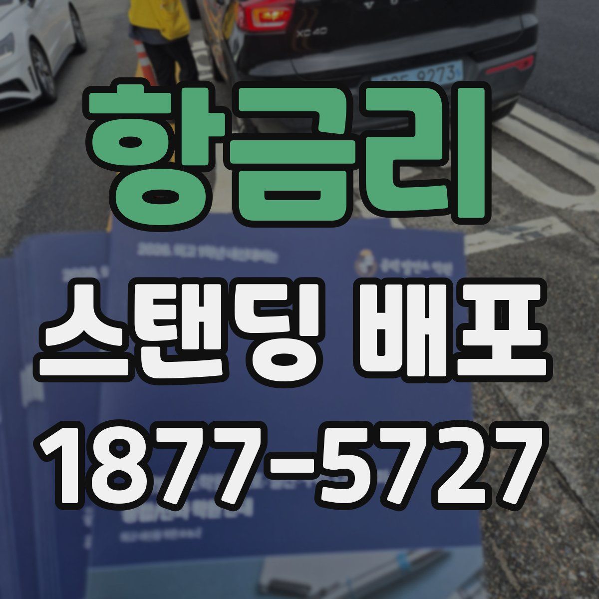 항금리 스탠딩 배포
