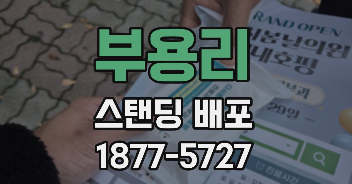 부용리 스탠딩 배포
