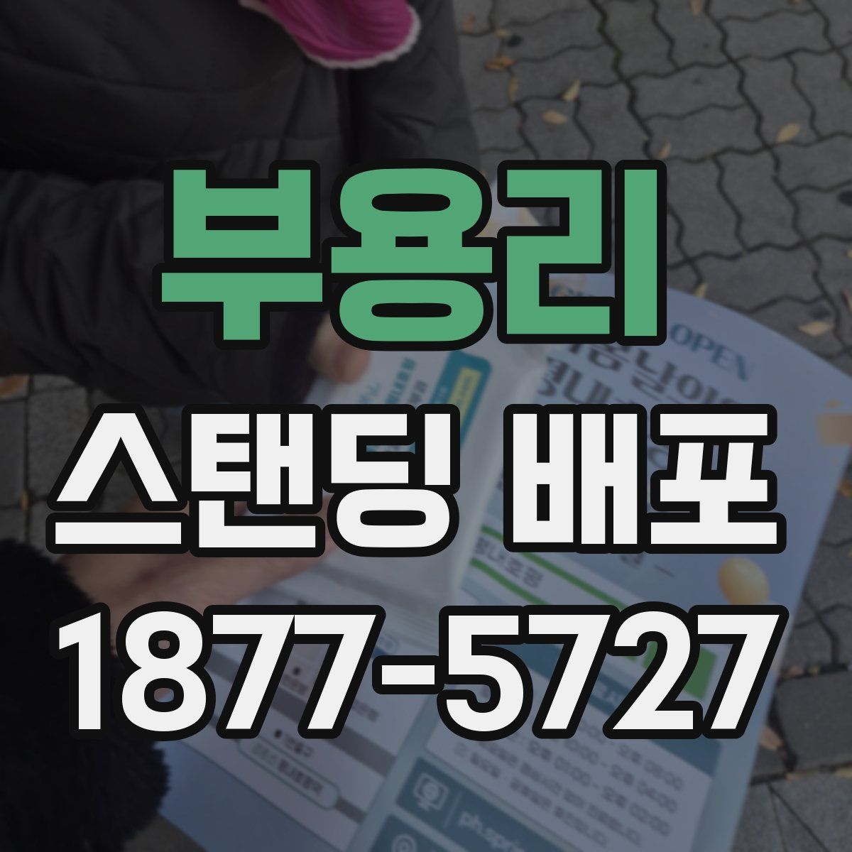 부용리 스탠딩 배포
