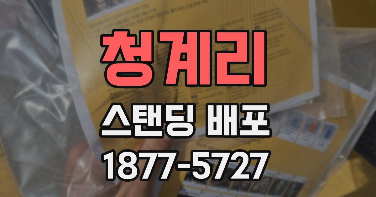 청계리 스탠딩 배포