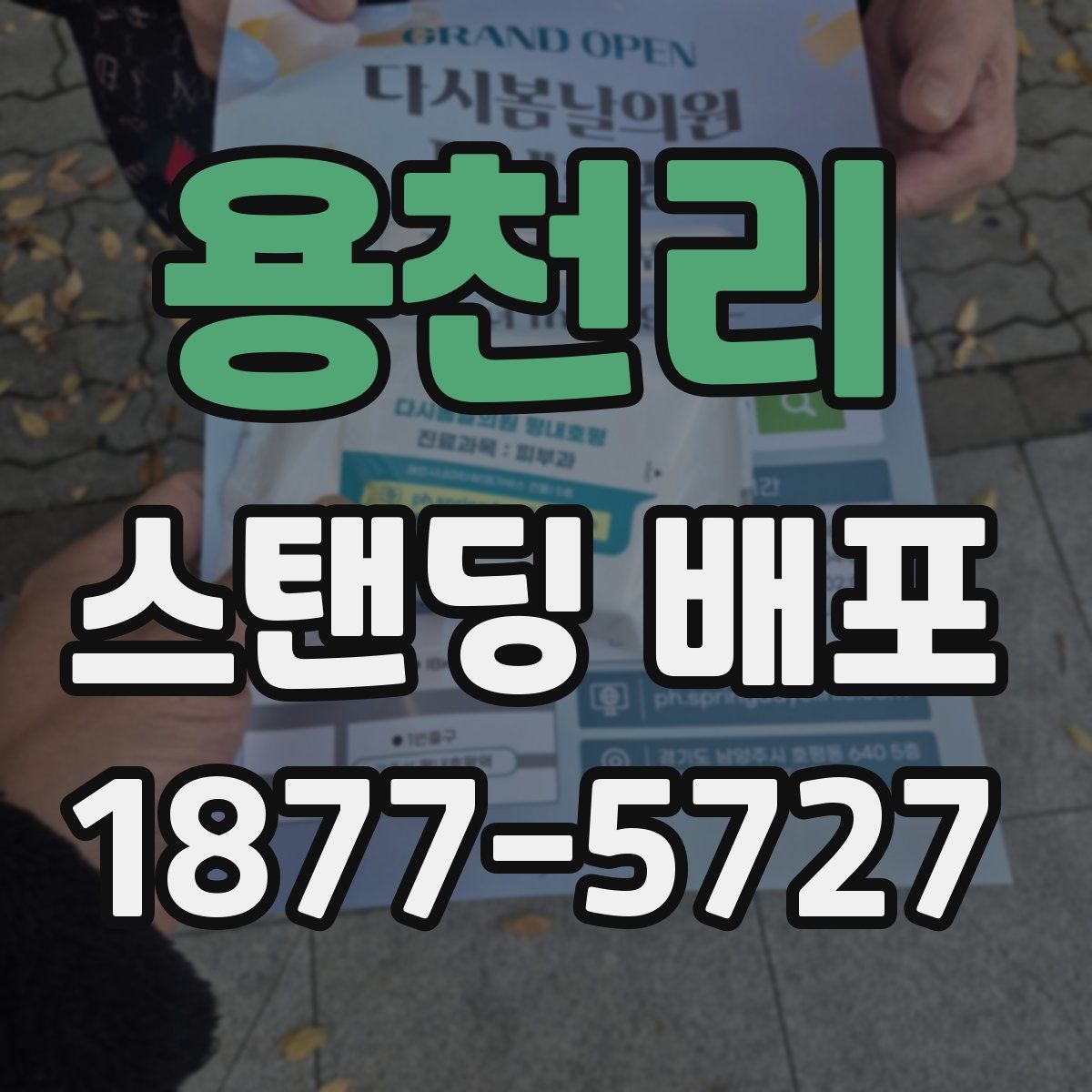 용천리 스탠딩 배포