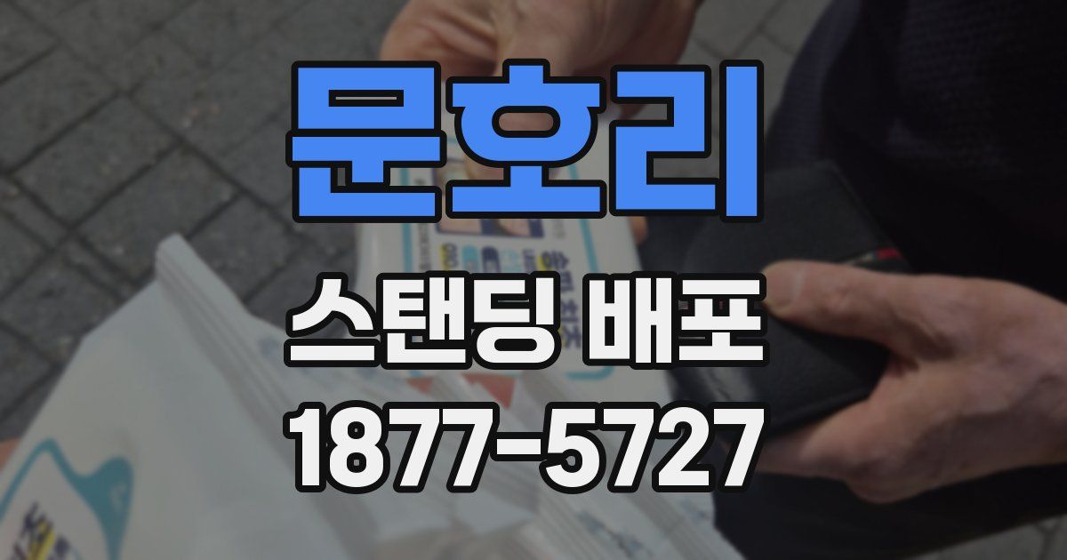 문호리 스탠딩 배포
